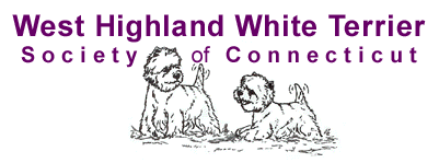 west highland white terrier society of connecticut