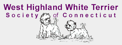 west highland white terrier society of connecticut