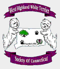 west highland white terrier society of connecticut